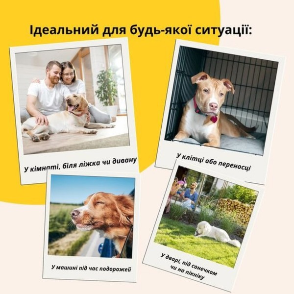 Фото - Лежанка IDEIA 80х120х12 см XL (8-35944*001)